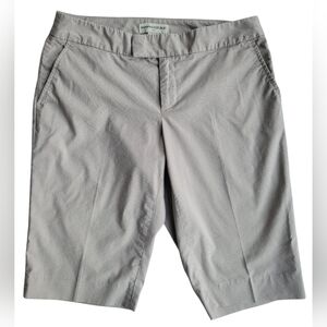 Banana Republic Stretch Shorts Size 4 | Pinstripe Micro Check